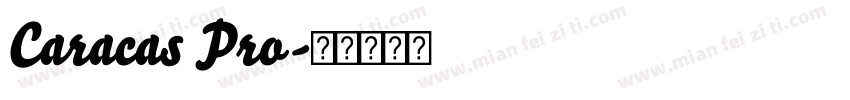 Caracas Pro字体转换